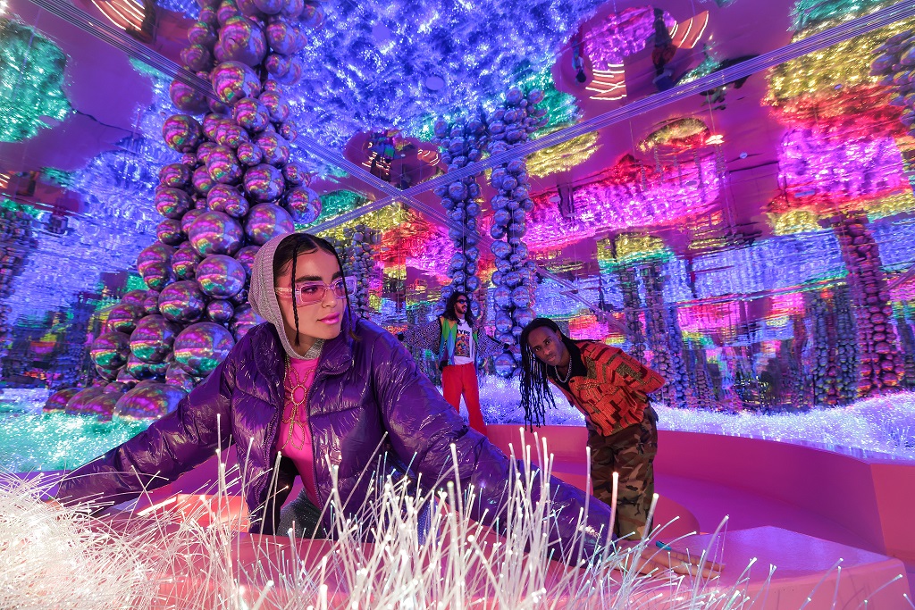 Key Attractions at House of Hype